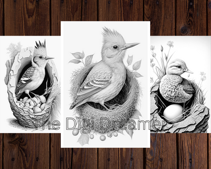 Birds Grayscale Coloring Pages For Adults & Kids