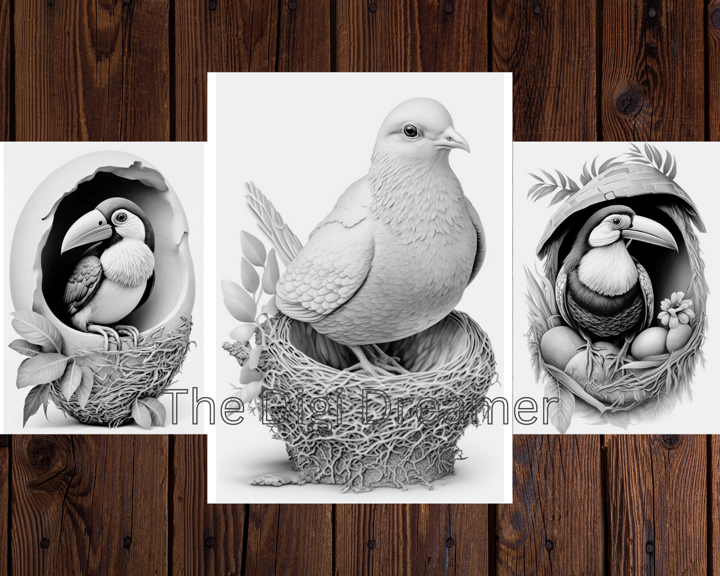 Birds Grayscale Coloring Pages For Adults & Kids
